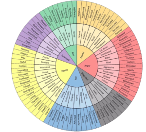 Use the Wheel of Emotions to help you identify what you might be feeling. Rate the intensity to which you might be feeling the emotion you’ve identified from 1 to 10.